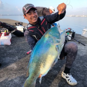 沖縄三大高級魚　マクブ