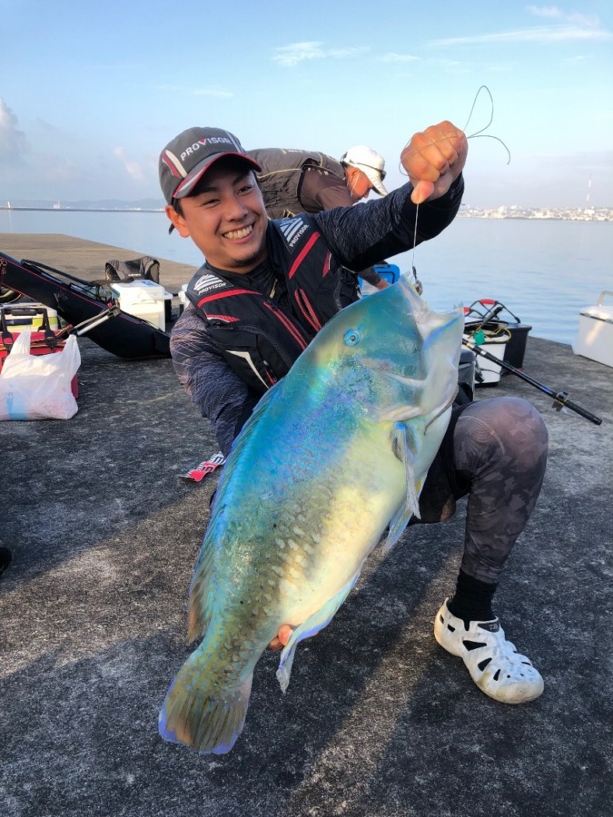 沖縄三大高級魚　マクブ