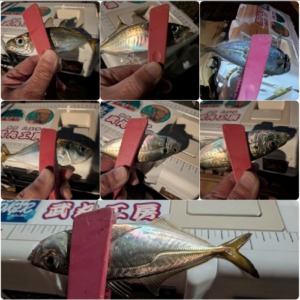 フロートアジング