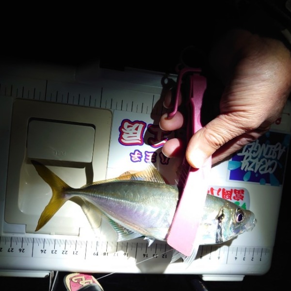 フロートアジング