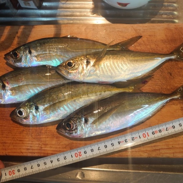 フロートアジング