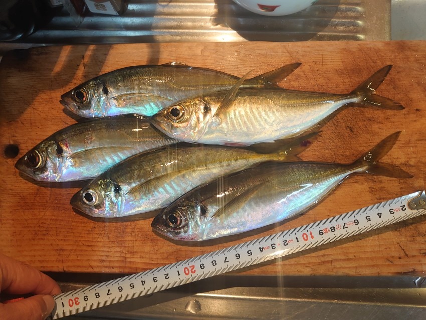 フロートアジング