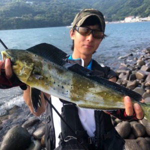 真夏のシイラゲーム