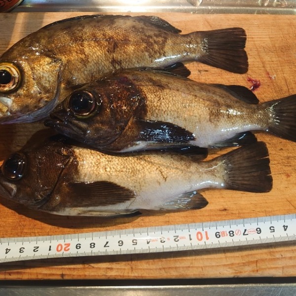 フロートアジング